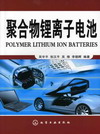 聚合物锂离子电池