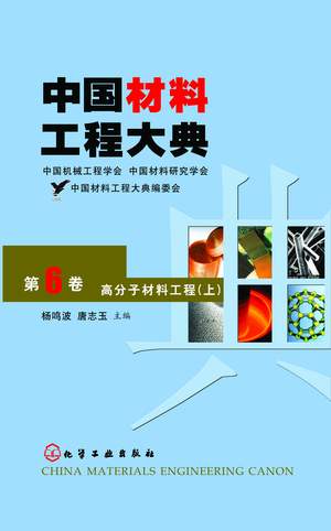 中国材料工程大典（第6卷）高分子材料工程（上）