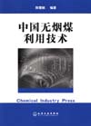 中国无烟煤利用技术
