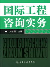 国际工程咨询实务
