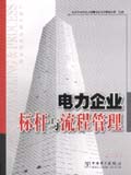 电力企业标杆流程管理