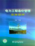 电力工程造价管理实务指南