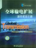 全球输电扩展：成功地诀窍(电力经济与管理译丛）