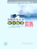 县级供电企业会计核算实务