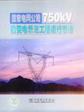 国家电网公司750kV输变电示范工程运行总结