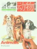 How to Draw Animals 绘画入门系列 教你画动物